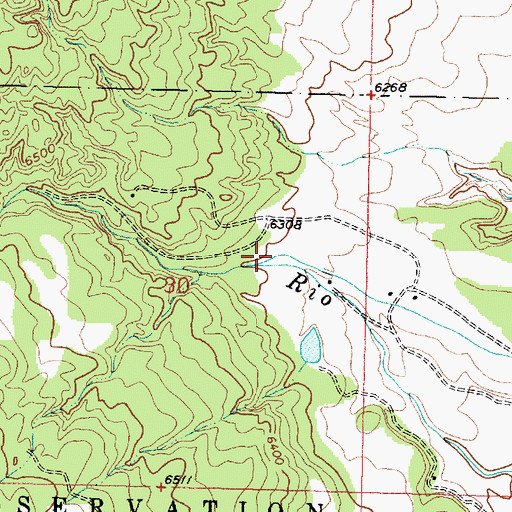 Topographic Map of Bear Canyon, NM