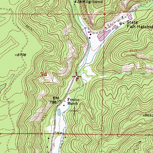 Topographic Map of Bear Canyon, NM