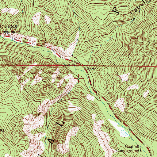 Topographic Map of Bear Canyon, NM