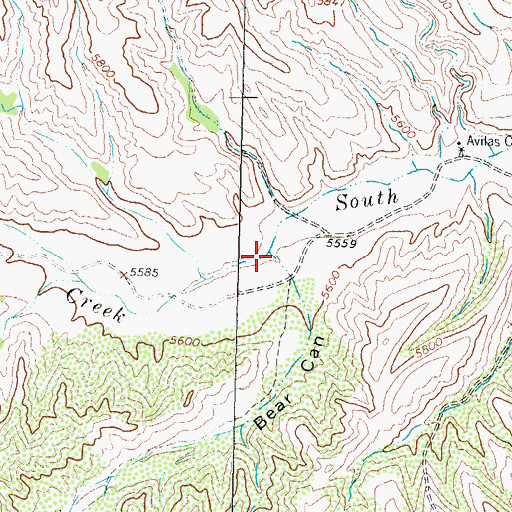 Topographic Map of Bear Canyon, NM