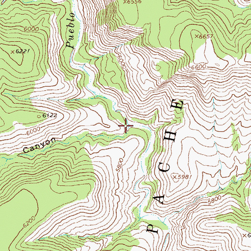 Topographic Map of Bear Canyon, NM