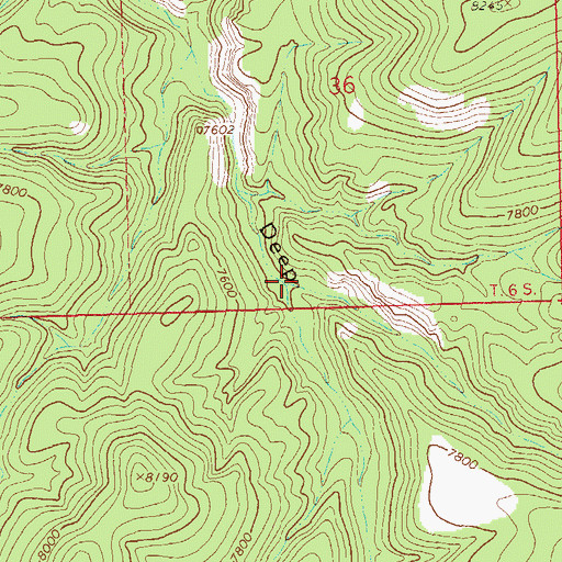 Topographic Map of Bear Canyon, NM