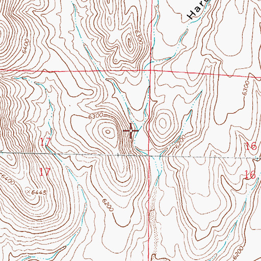 Topographic Map of Bear Canyon, NM