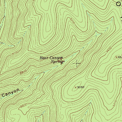 Topographic Map of Bear Canyon Spring, NM