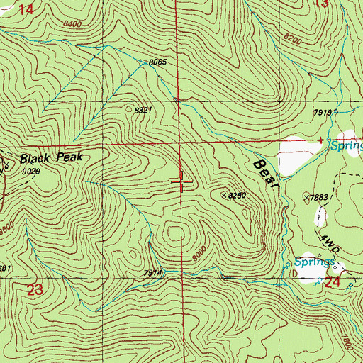 Topographic Map of Bear Canyon Trail, NM