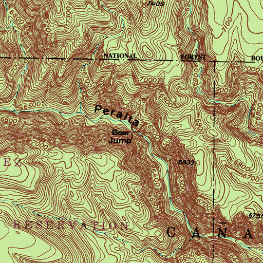 Topographic Map of Bear Jump, NM