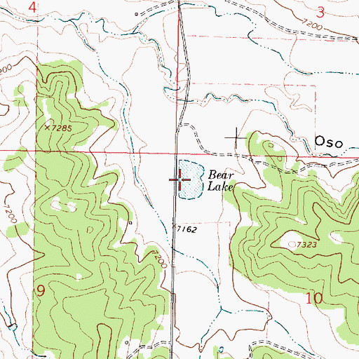 Topographic Map of Bear Lake, NM