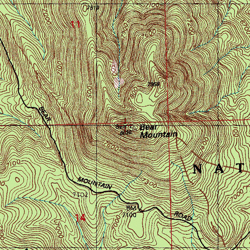 Topographic Map of Bear Mountain, NM