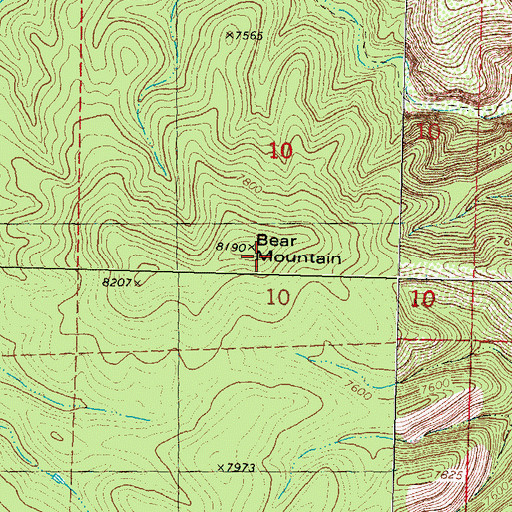 Topographic Map of Bear Mountain, NM