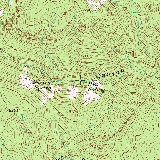 Topographic Map of Bear Spring, NM