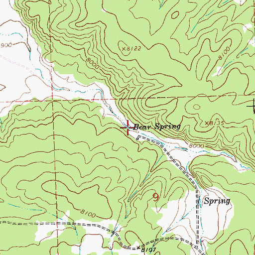 Topographic Map of Bear Spring, NM