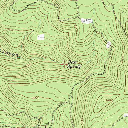 Topographic Map of Bear Spring, NM
