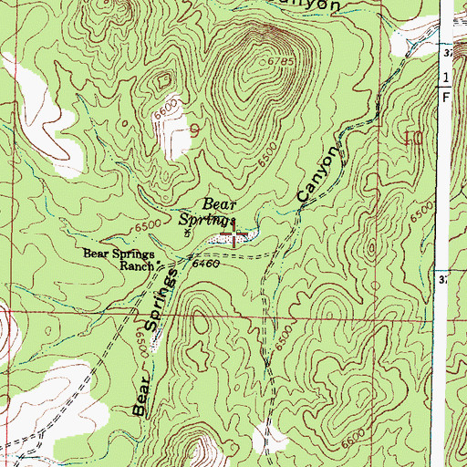 Topographic Map of Bear Springs, NM