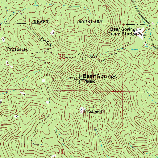 Topographic Map of Bear Springs Peak, NM