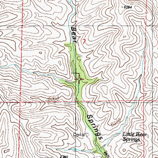 Topographic Map of Bear Springs Windmill, NM