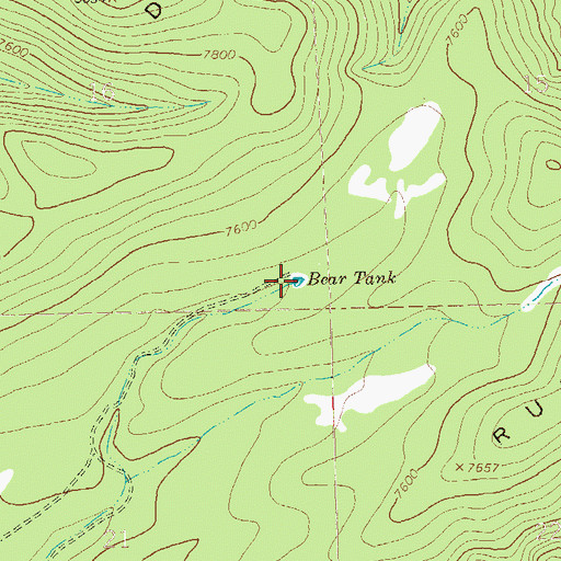 Topographic Map of Bear Tank, NM