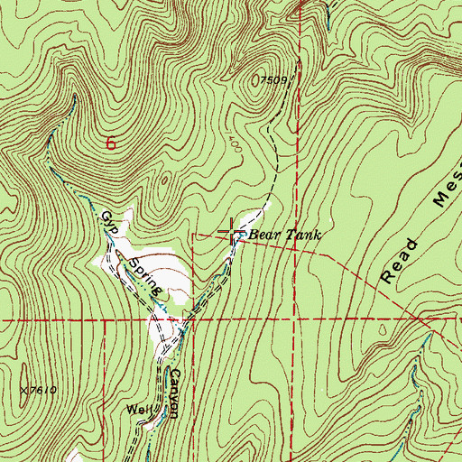 Topographic Map of Bear Tank, NM