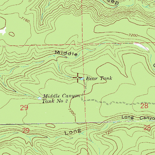 Topographic Map of Bear Tank, NM