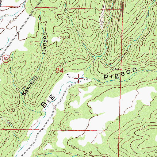 Topographic Map of Bear Trap Canyon, NM