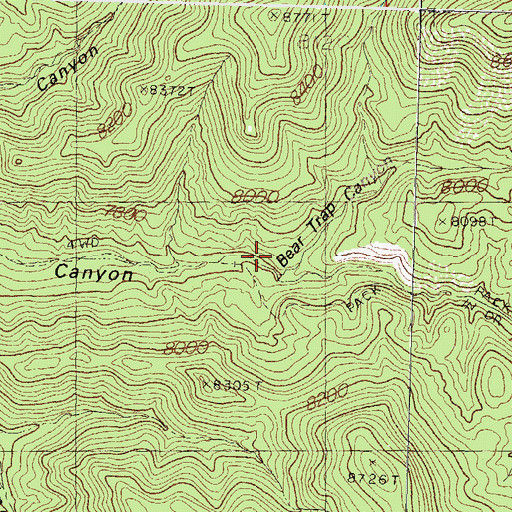 Topographic Map of Bear Trap Canyon, NM