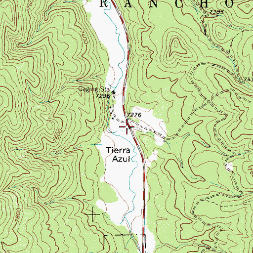 Topographic Map of Bear Wallow Canyon, NM