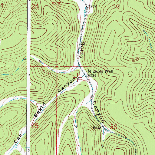 Topographic Map of Beard Canyon, NM