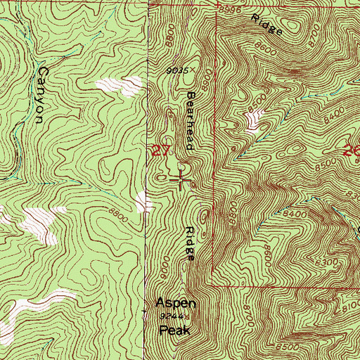 Topographic Map of Bearhead Ridge, NM
