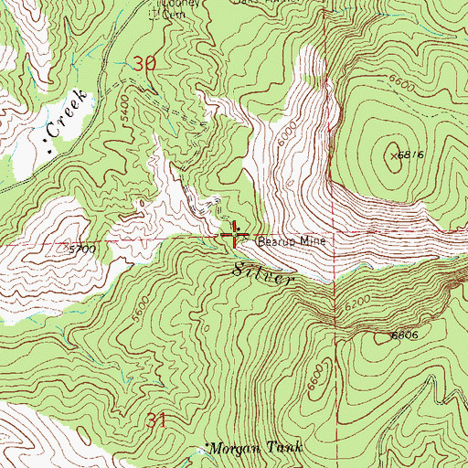 Topographic Map of Bearup Mine, NM