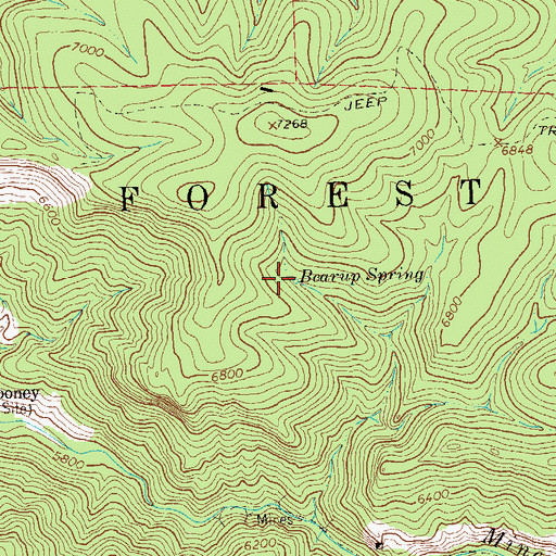 Topographic Map of Bearup Spring, NM
