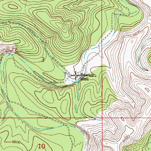 Topographic Map of Bearup Well, NM