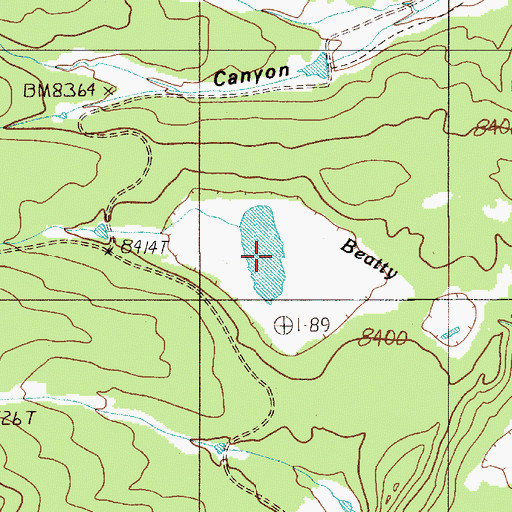 Topographic Map of Beatty Lakes, NM
