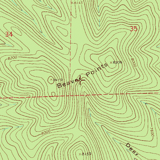 Topographic Map of Beaver Points, NM