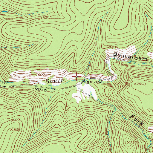 Topographic Map of Beaverdam Canyon, NM