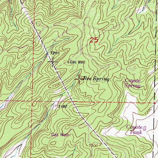 Topographic Map of Bee Spring, NM