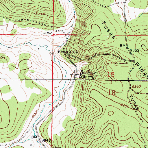 Topographic Map of Beehive Spring, NM