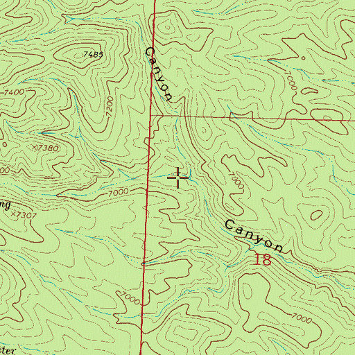 Topographic Map of Bell Canyon, NM