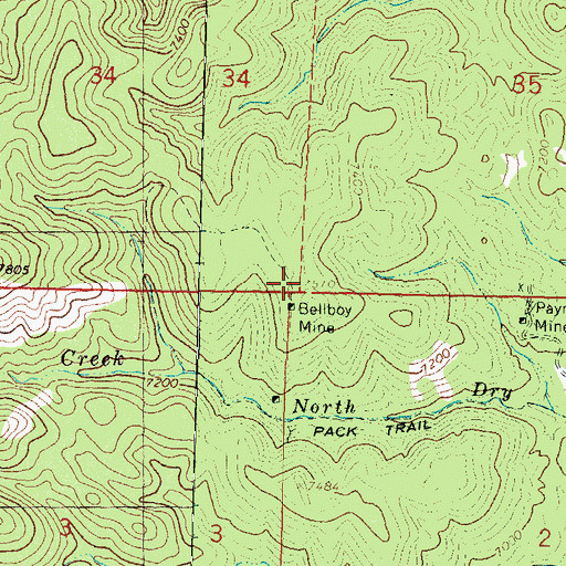 Topographic Map of Bellboy Mine, NM