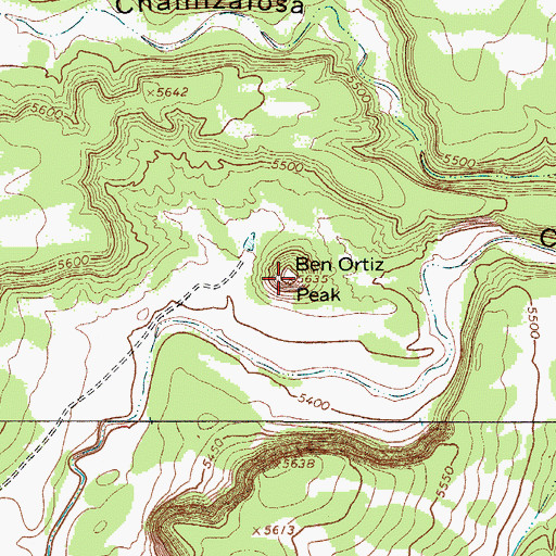 Topographic Map of Ben Ortiz Peak, NM