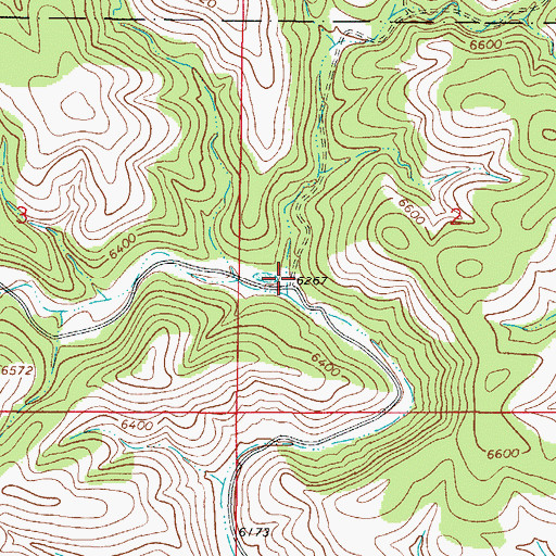 Topographic Map of Ben Williams Canyon, NM