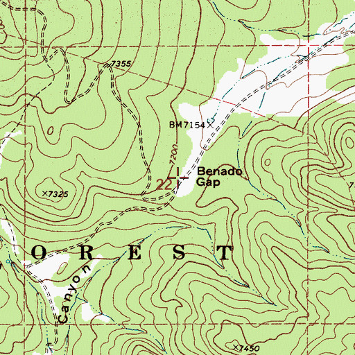 Topographic Map of Benado Gap, NM