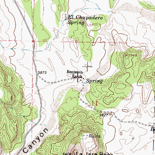 Topographic Map of Benjamin Ranch, NM