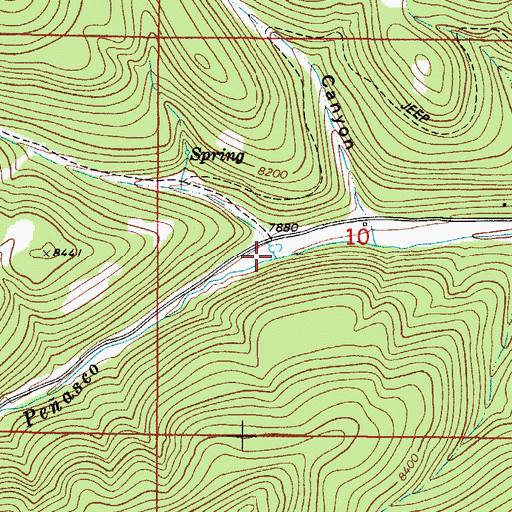 Topographic Map of Benson Canyon, NM