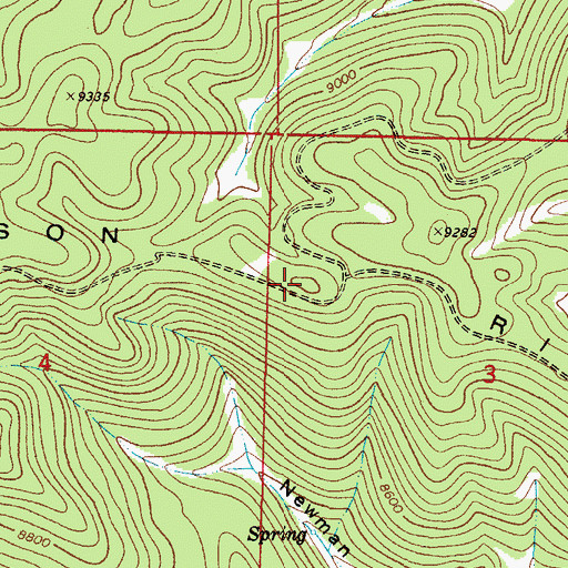 Topographic Map of Benson Ridge, NM