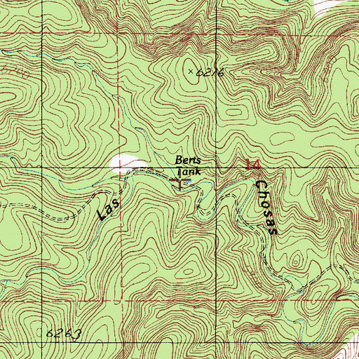 Topographic Map of Berts Tank, NM