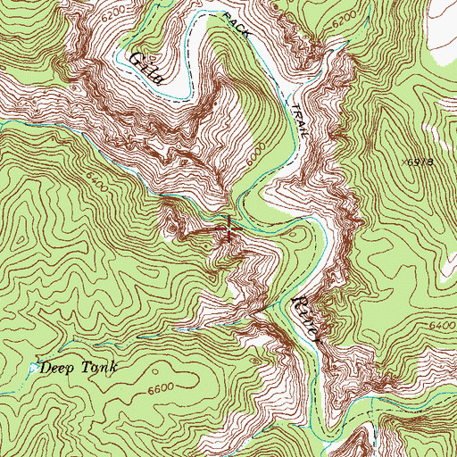 Topographic Map of Big Bear Canyon, NM