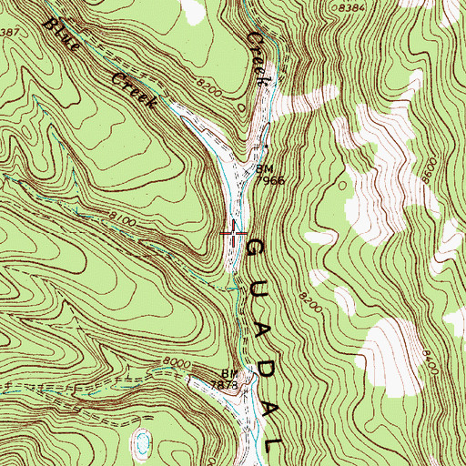 Topographic Map of Big Blue Creek, NM