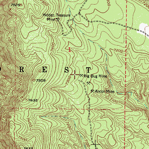 Topographic Map of Big Bug Mine, NM