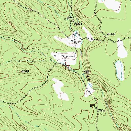 Topographic Map of Big Canyon, NM