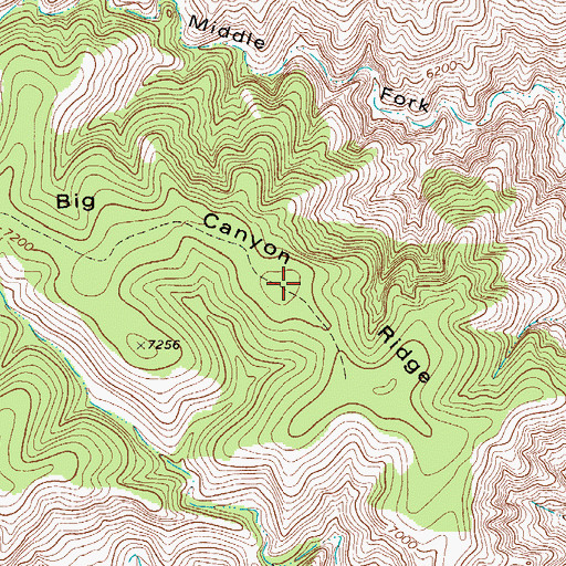 Topographic Map of Big Canyon Ridge, NM