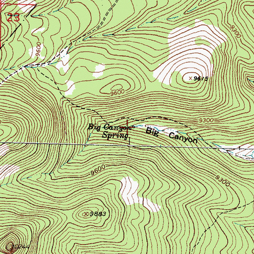 Topographic Map of Big Canyon Spring, NM
